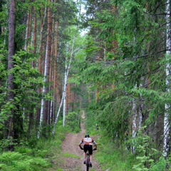 Александр Лукьянов