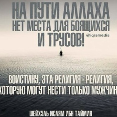 Магомед Магомедов, 31.12, Москва