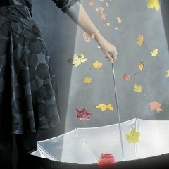 Елена Яцура