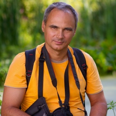 Дмитрий Шишминцев, 04.07.1971, Самара