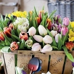 Натуся Грицай, 07.05, Львов