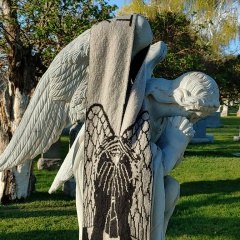 Елена Жукова, 09.07.1975, Санкт-Петербург