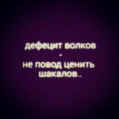Аюб Сатуев, Шали