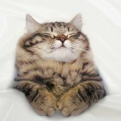 Асем Евенеева, 14.06.1993, Уральск