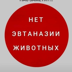 Венера Николаева, Новокузнецк