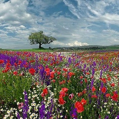 Ольга Трунова, Ростов-на-Дону