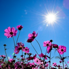 Мерейка Кулжан, 26.06, Актау