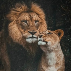 Жансая Сембекова, 16.04, Караганда