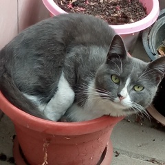 Анатолий Анатольевич, 24.10, Харьков