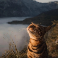 Светлана Федулина, 30.04, Кострома