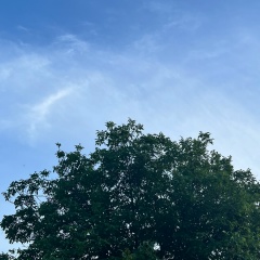 Айнура Рыскулова, 13.10.1992, Алматы