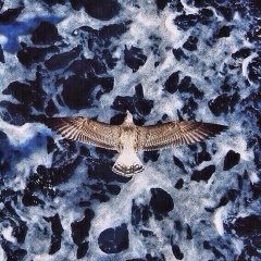 Еламан Агабеков, 23.08.1995, Шымкент