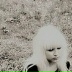 Valery Winder, 14.09, Омск