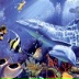 Настёна Friend, 13.03, Санкт-Петербург