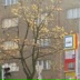 Илья Пименов, 10.01.1987, Praha