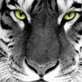 Хуршед Шарофидинов, Худжанд