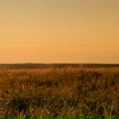 Василий Городков