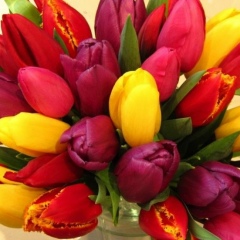 Анастасия Подченова, 06.12, Тверь