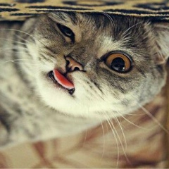 София Грейнджер, 17.03