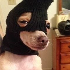 Артёмка Мелащенко, 25.02, Dodoma