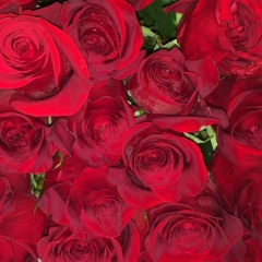 Роза Ержанова, 05.08.1968, Актобе