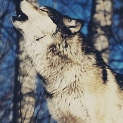 Бактияр Кожа, 24.07.1989, Шымкент