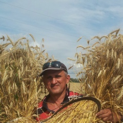 Владимир Чесноков, Липецк