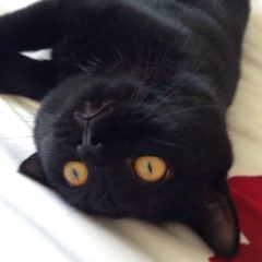 Ирина Чевычелова, 17.01.1984, Новосибирск