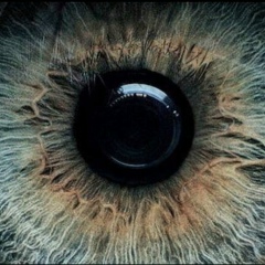 Zabir Shamsutdinov, 11.05, Алматы