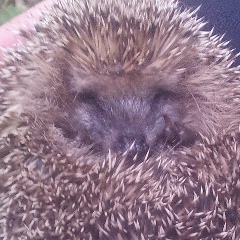 Трофим Канаев, 05.05.1989, Санкт-Петербург