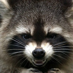 Костя Яковлев, 18.06.1901, Москва