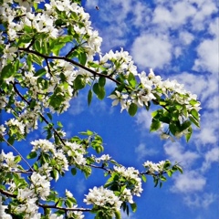 Татьяна Глаголева, 24.08, Алматы