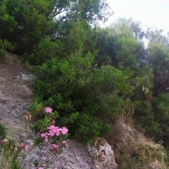 Burcu Acar, 01.11.1982, Antalya