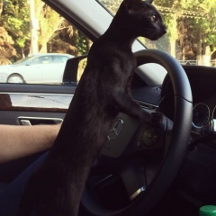 Кирилл Житин, 16.06, Самара