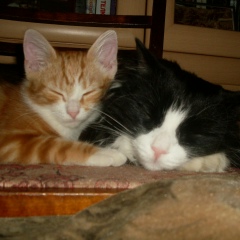 Юльчик Бекмурзаева, 14.09.1986, Санкт-Петербург