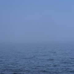 Oksana Aksenova, 02.01.1995, Санкт-Петербург