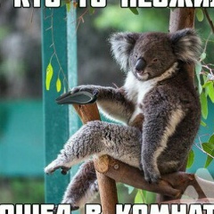 Дима Голубцов, 14.05, Сургут