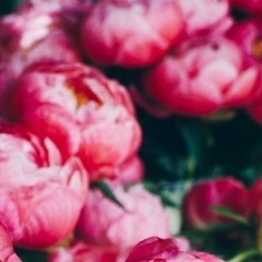 Мария Воробьева, 28.04, Черноголовка