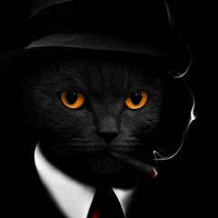 Василий Иванов, 03.03, Санкт-Петербург