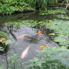 Даврон Аскаров, 14.10, Казань