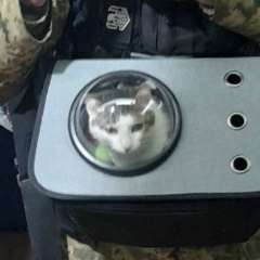 Сергей Сиргиенко, 26.04, Львов