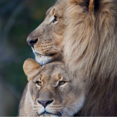 Erman Kaliyev, 23.02.1994, Актобе