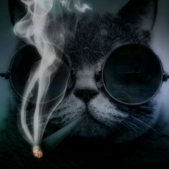 Александр Алексеев, 09.05.1981, Санкт-Петербург