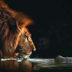 Григорий Зарванский, Санкт-Петербург