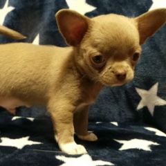 Ника Гуценко, 07.06, Москва