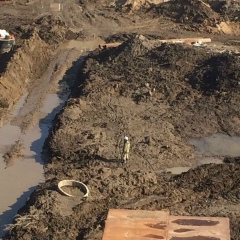 Виктор Панфилов, 01.01.1983, Санкт-Петербург