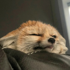 Сергей Спокойный, 05.07.2000