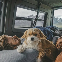 Авинён Авинён