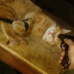 Вася Куралесов, 21.02.1993, Донецк