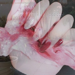 Mishy Tania, 01.06.1990, Rawalpindi